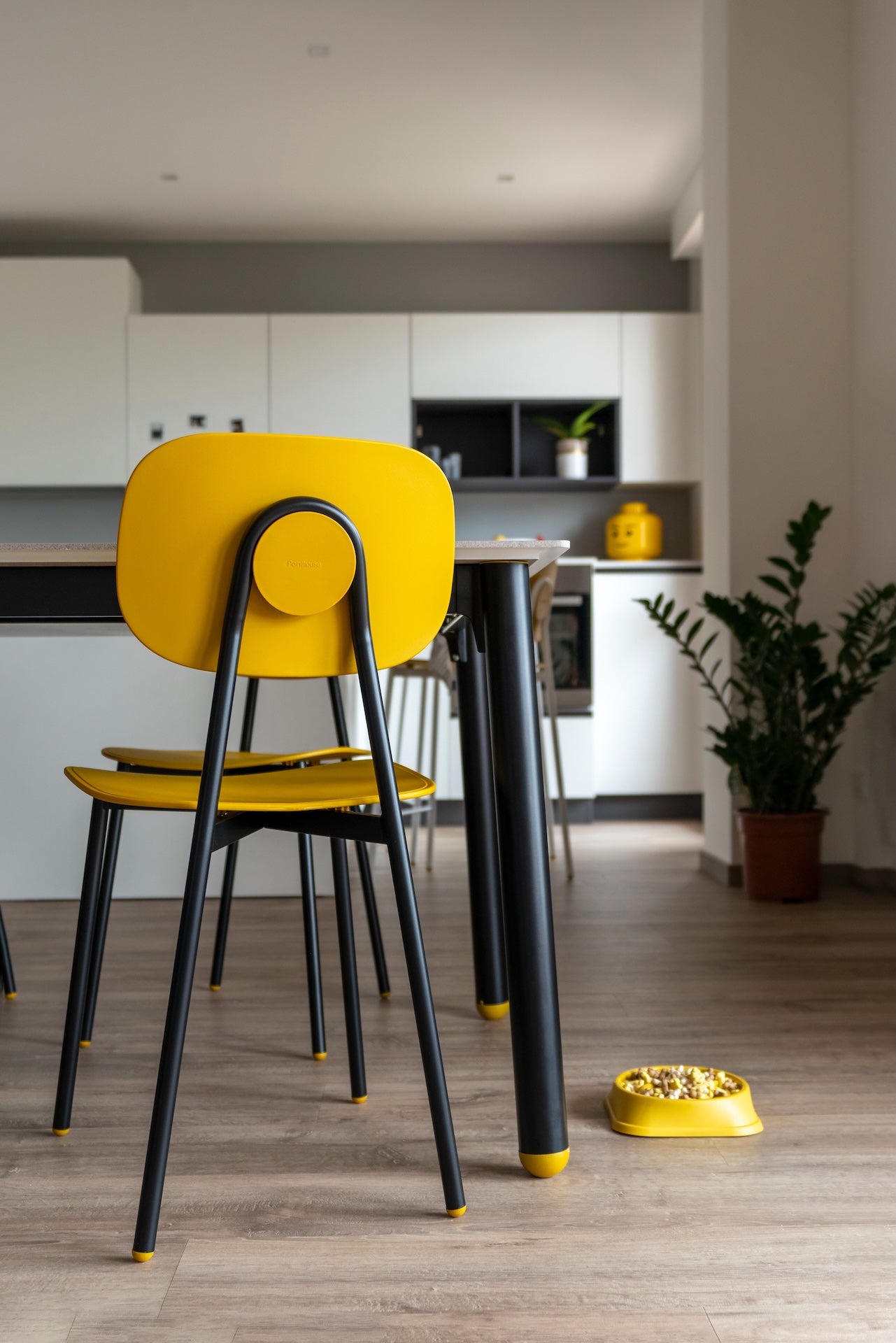 Tata Young Polipropilene