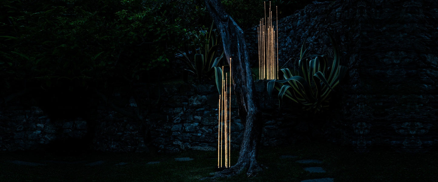 Reeds
