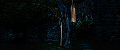 Reeds