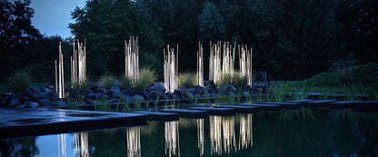 Reeds