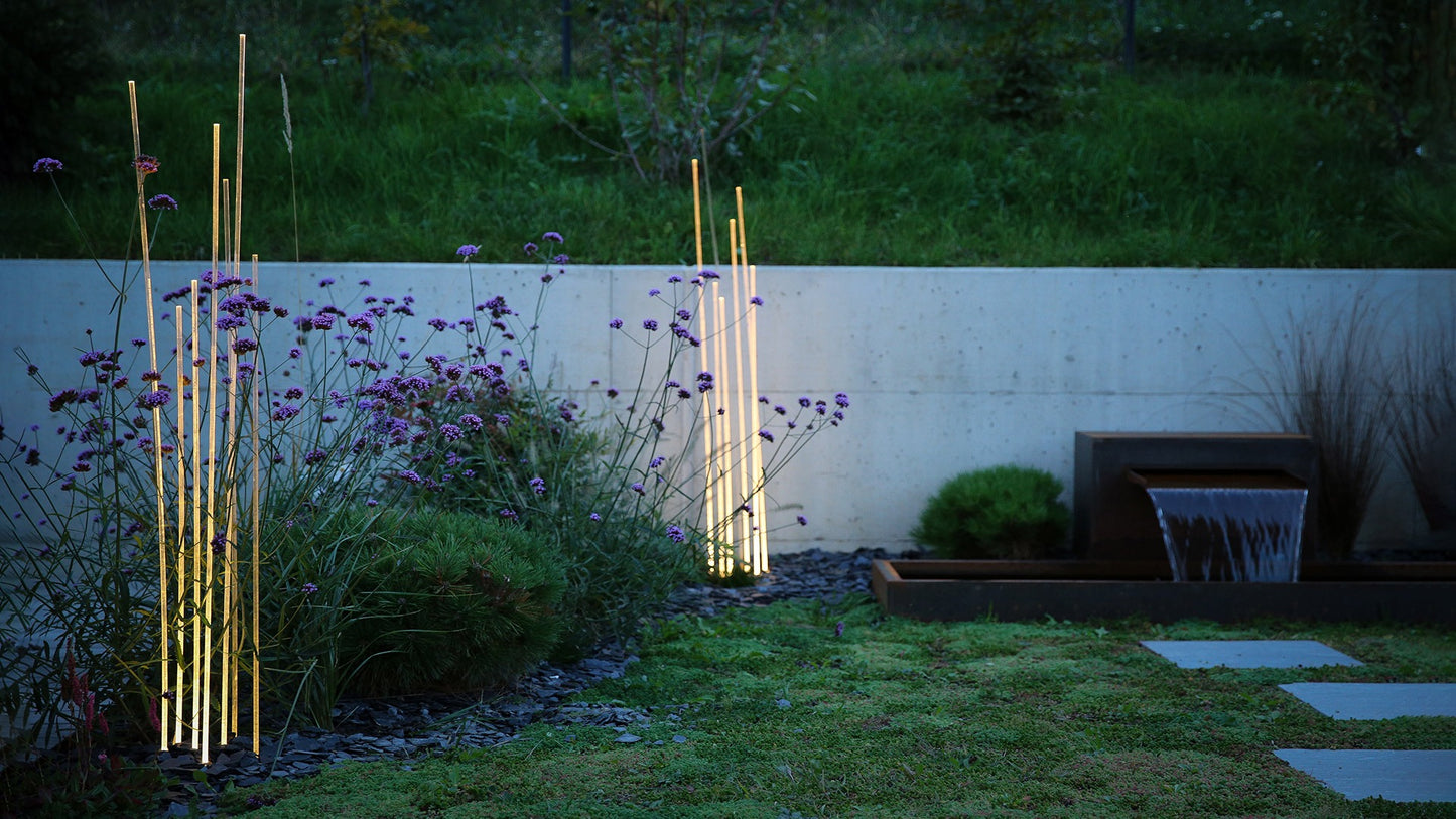 Reeds
