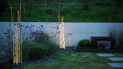 Reeds