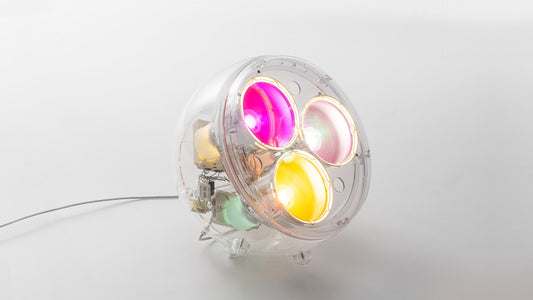 YANG Led